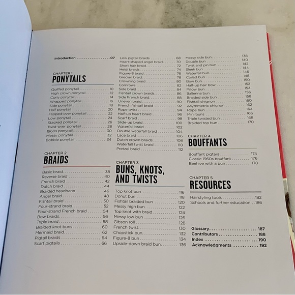 Braids, Buns and Twists, Hairstyles Ideas How To Book! - Picture 2 of 4